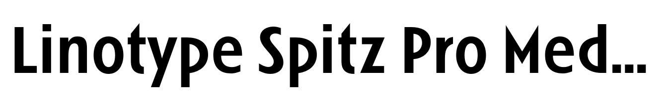 Linotype Spitz Pro Medium